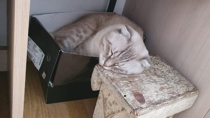 ТАБУРЕТКА ИЗ МОЕГО ДЕТСТВА