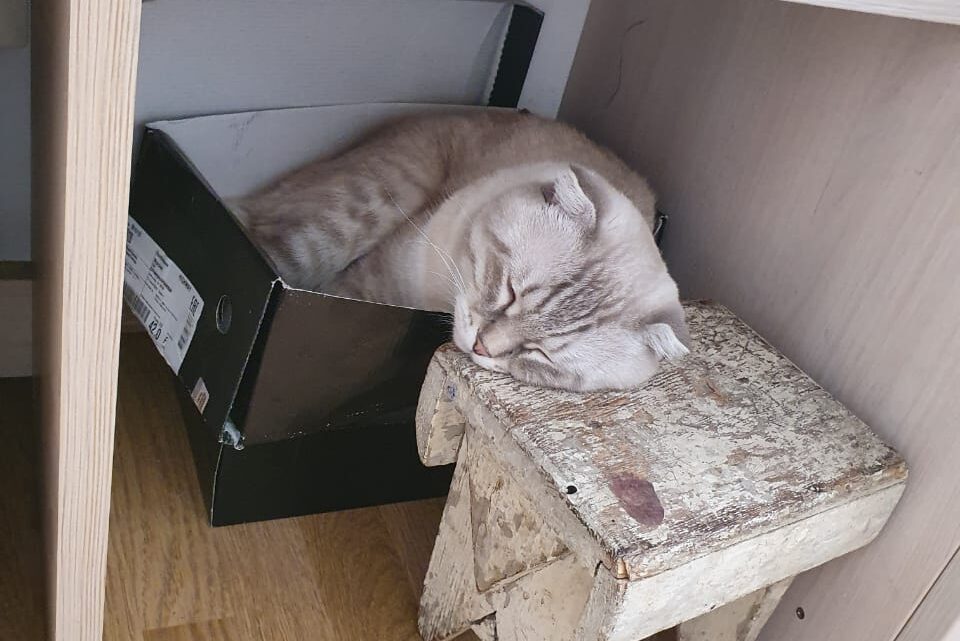 ТАБУРЕТКА ИЗ МОЕГО ДЕТСТВА