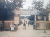 НАХИЧЕВАНСКИЙ ПИТОМНИК, ИЛИ КАК ОЗЕЛЕНЯЛИ ГОРОД