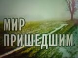 «Мир пришедшим», или как стать «разводящим» на базаре