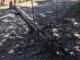 «СВЕТОПРЕСТАВЛЕНИЕ» В РОСТОВЕ